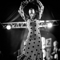flamenco (83)